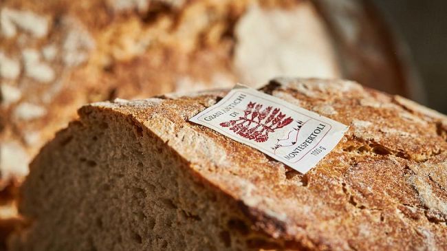 I grani antichi entrano nella mensa scolastica