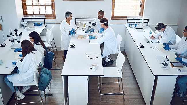 Nuovo bando Scuole in movimento di Fondazione Caript