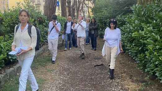 Alle Cascine 'Naturesimo: Piante e Guerra' 