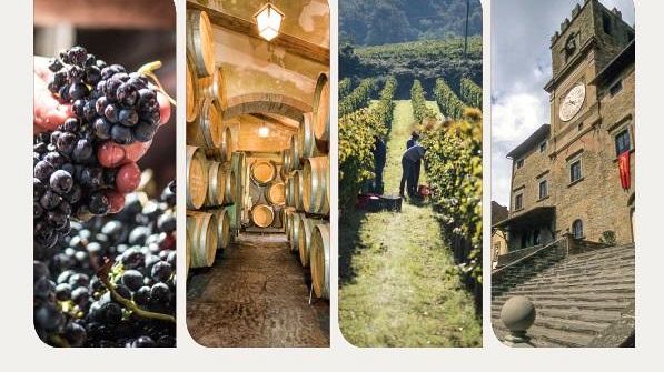 “Visita le cantine” di ​Cortona Doc 