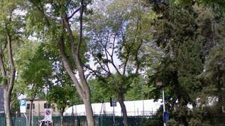 Affrico? Nato per le bocce, non per il basket