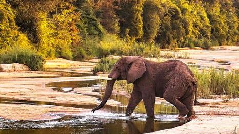 Festival del Viaggio