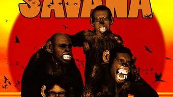 “Savana”: il ritorno degli Appaloosa