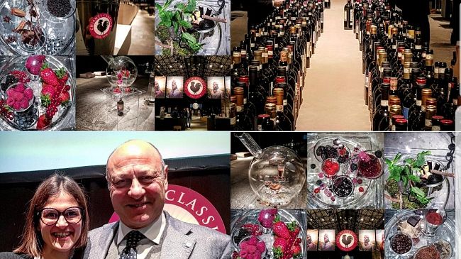 Conclusa Chianti Classico Collection 2018