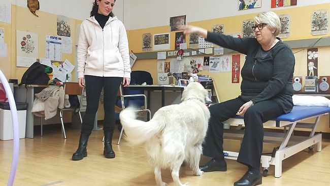 Presidio Palagi: Pet Therapy per i pazienti con fibromialgia 