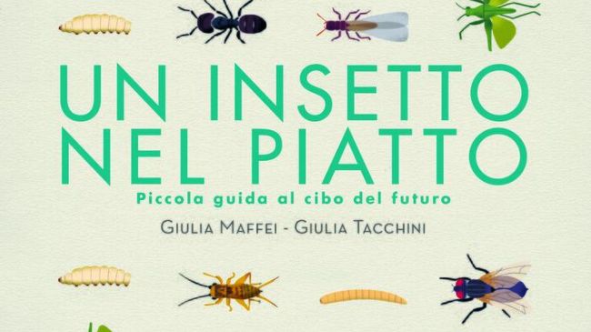 Un insetto nel piatto