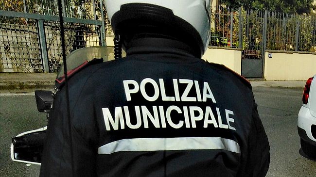 Funghi secchi senza etichetta, multa da 1000 euro al commerciante