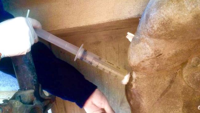 Loggia del Grano: restauro per Cosimo II, una iniezione di fiducia?