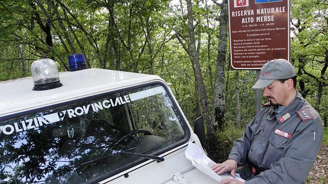 Emergenza ungulati in Toscana: casi di giustizia fai da te