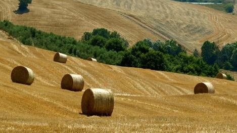 agricoltura-cgil-cisl-e-uil-contro-il-ritorno-dei-voucher