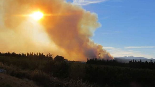 Pauroso incendio vicino a Cecina