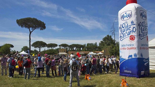 San Rossore: oggi la Festa del Latte Toscano