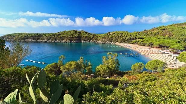 Traghetti, Blu Navy: