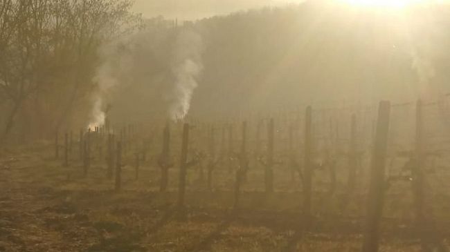 Eccezionale gelata notturna in Toscana: toccati i -7°