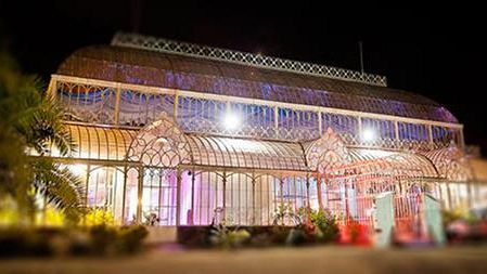 Piante e fiori della Società Toscana di Orticultura in diretta Facebook