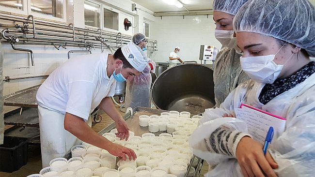 Nuovi lavori nell’agroalimentare: San Casciano ospita Enofood.com
