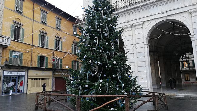 Natale: il 7 dicembre l’accensione degli alberi visibile online
