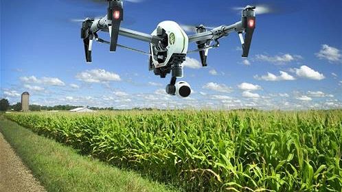 Agricoltura 4.0: l'impiego dei droni per difendere le piante