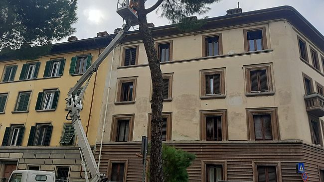 Vento forte a Firenze, torna il codice giallo