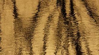 La vivida natura del coreano Ahae