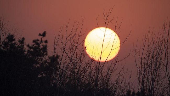 ''Through my window'', al Museo Nazionale Alinari