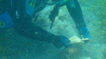 Qualità delle acque marine in Toscana: chi se la beve?