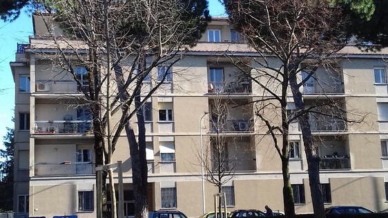 A Firenze 1300 alberi in più: il bilancio degli ultimi 11 mesi