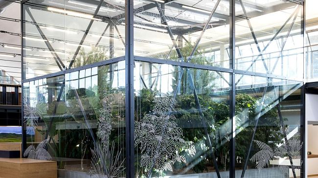 Accademia del Caffè Espresso:  progetto in evoluzione