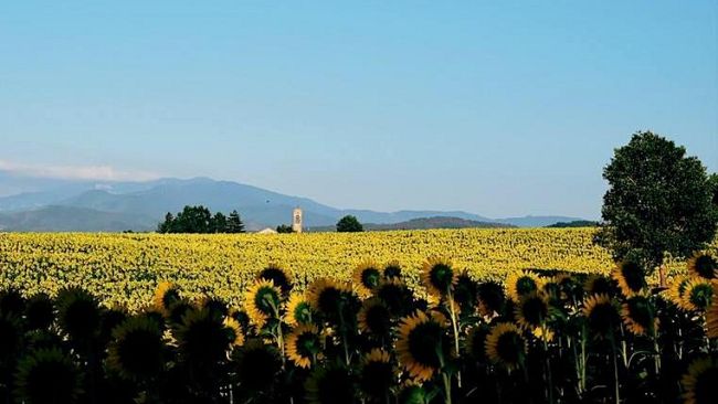 Turismo online: visittuscany.com è il nuovo sito di promozione turistica della Toscana