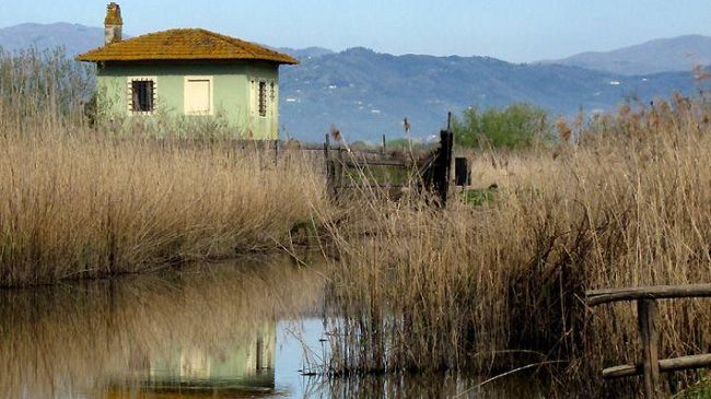 Padule di Fucecchio: open days nella Riserva Naturale