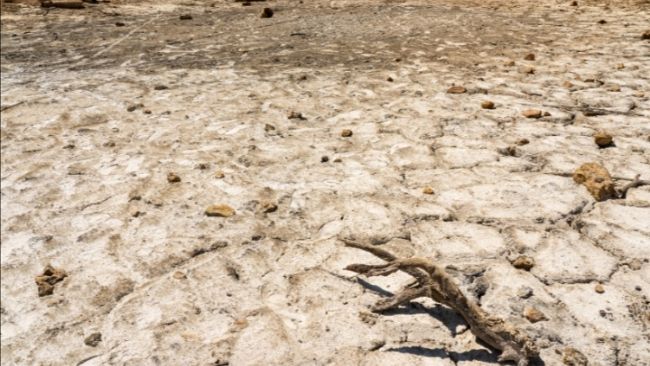 Clima, l'allarme del CNR: sulla costa toscana rischio desertificazione