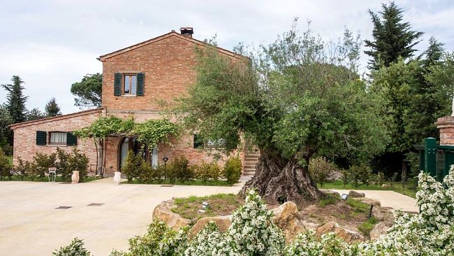 la-53-edizione-di-vinitaly