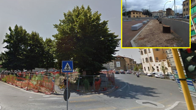 Taglio dei Tigli: a Porta al Prato un danno prevedibile?