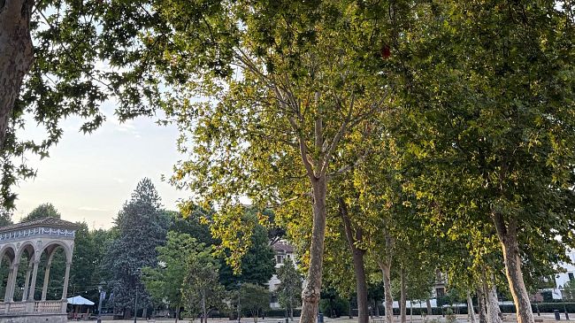 Giardino dell’Orticoltura: due domande all’amministrazione comunale
