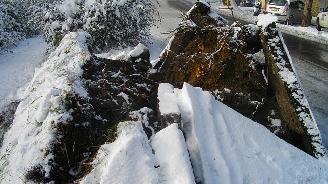 Grassi: ''Assenti i piani per il rischio ambientale''