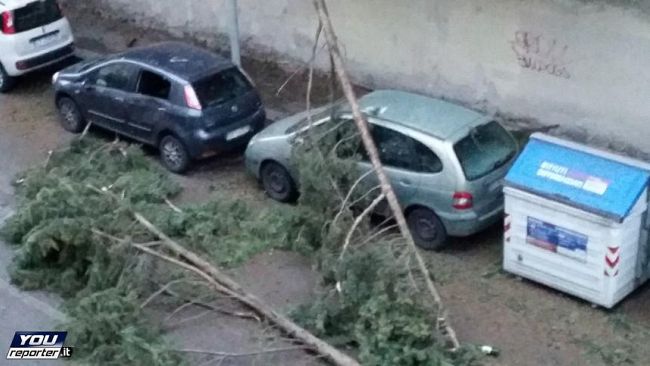 ​Allerta per vento forte: raffiche tra Firenze, Chianti e Val di Pesa