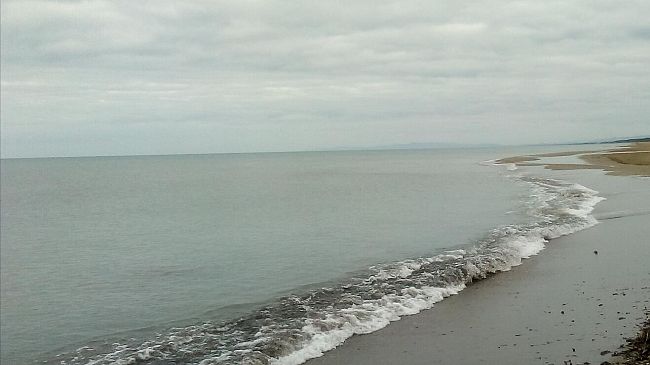 Mare troppo inquinato, Arpat vieta i bagni in alcune zone della Versilia