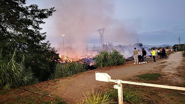 Incendio alle Cascine: l’intero parco ha rischiato di andare in fumo