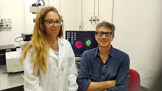 Antidepressivi, come funziona il Prozac? 