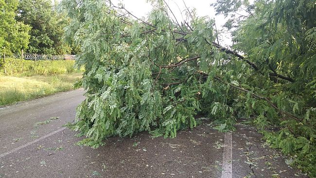 Temporali in Mugello: interrotta la linea ferroviaria Faentina