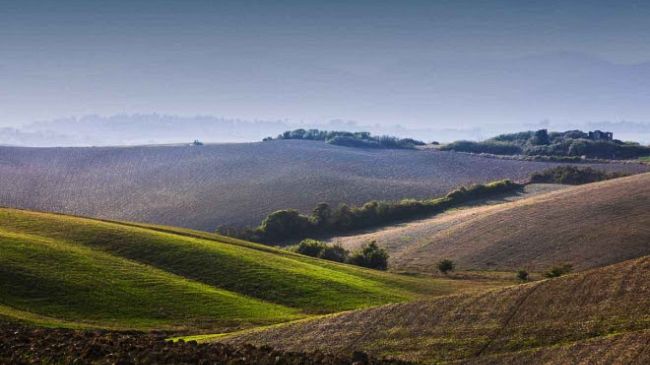 Terre di Pisa Food and Wine