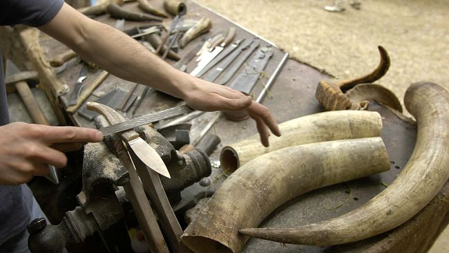 Artigianato e Palazzo 2023, iscrizioni aperte