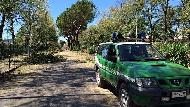 Maltempo: riaperto il primo tratto del lungarno Colombo