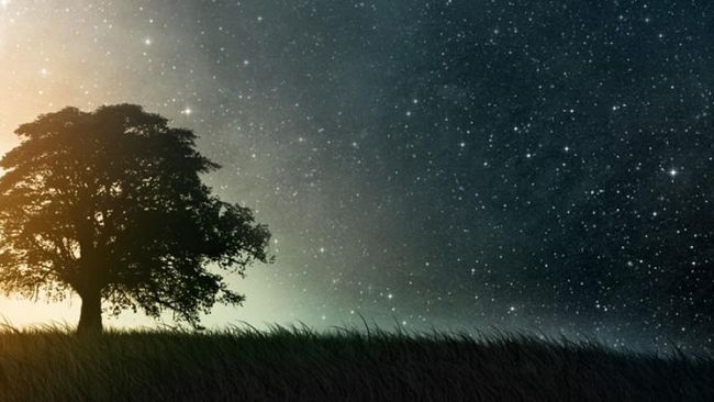 La notte del 25 settembre si illumina grazie ai ricercatori toscani