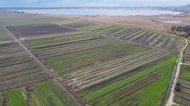 Giornata mondiale delle aree umide