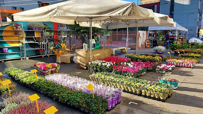 Fiorinfiera 2023, attesa per la Mostra Mercato del week end