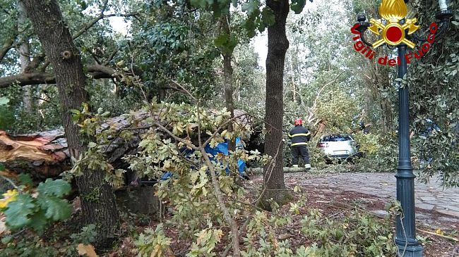 Interventi post maltempo, a Firenze restano chiusi tre giardini 