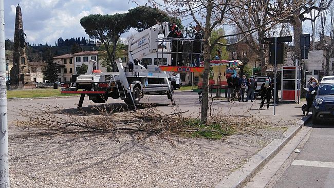 Galluzzo, tecnici comunali a lezione di potatura