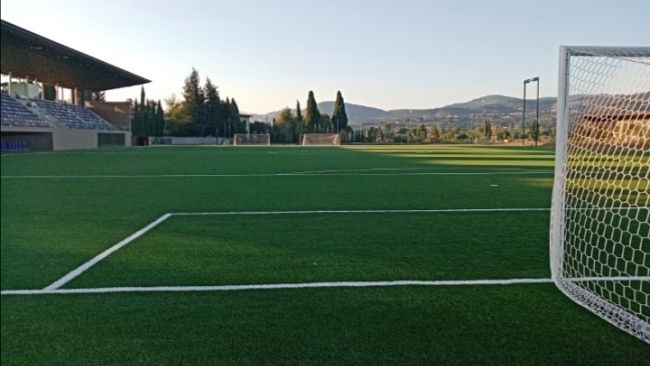 Viola Park: monta il Caso Matteini