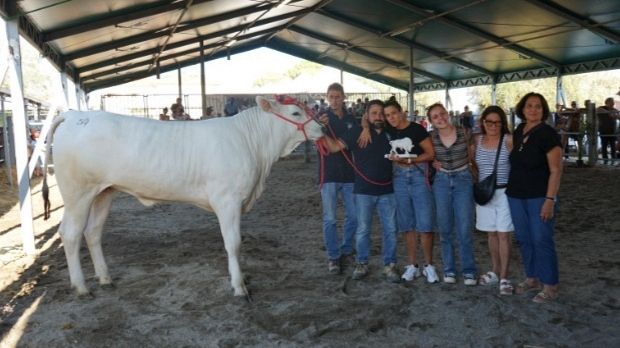 Fiera Zootecnica della Chianina, bilancio positivo